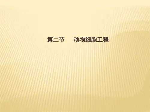 高二生物(选修3)同步课件：动物细胞工程(共21张)(共21张PPT)