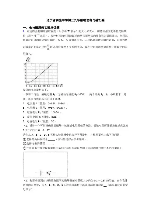 辽宁省实验中学初三九年级物理电与磁汇编