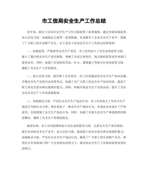 市工信局安全生产工作总结