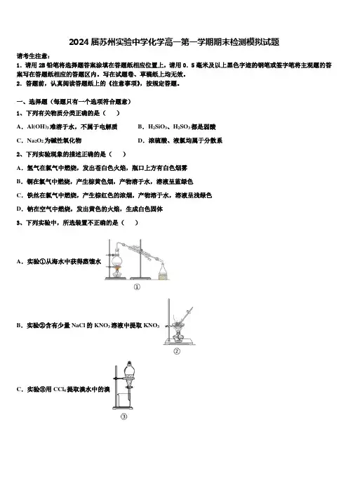 2024届苏州实验中学化学高一第一学期期末检测模拟试题含解析