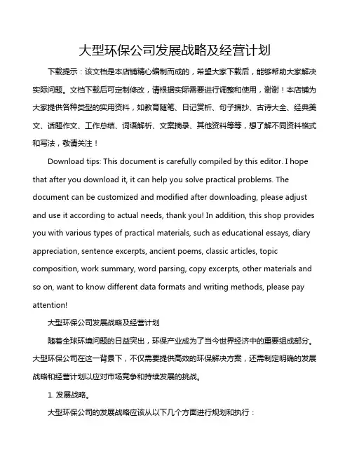大型环保公司发展战略及经营计划