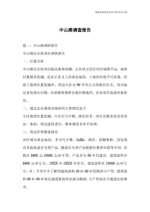 中山路调查报告