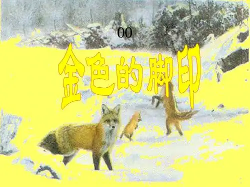 人教版六年级上册语文金色的脚印课件