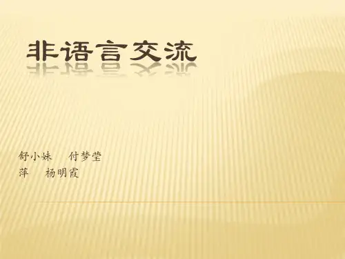 非语言交流PPT课件