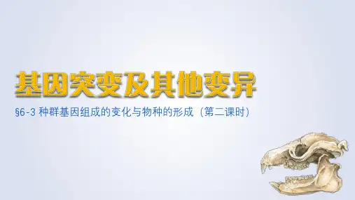 种群基因组成的变化与物种的形成(第二课时)高一生物课件(人教版2019必修2)
