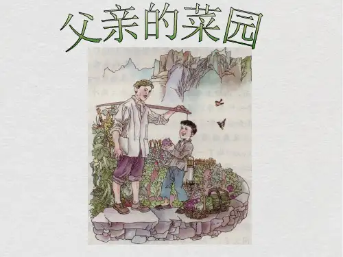 父亲的菜园ppt课件(1)