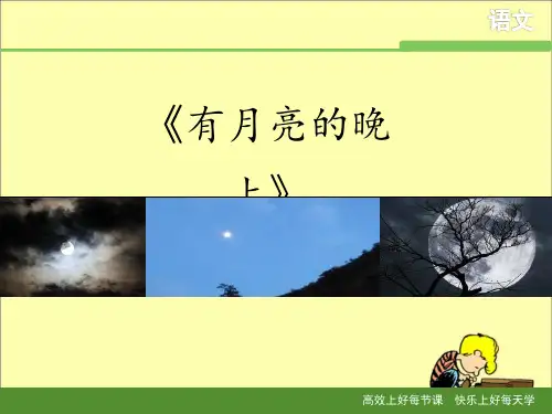 《有月亮的晚上》教学课件