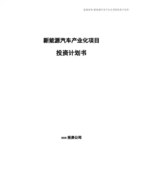 新能源汽车产业化项目投资计划书