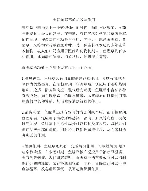 宋朝鱼腥草的功效与作用