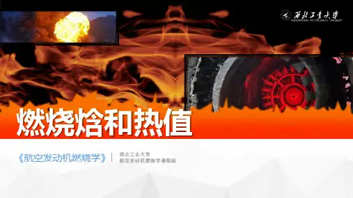2.2燃烧焓和热值