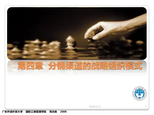 分销渠道的战略组织模式PPT课件
