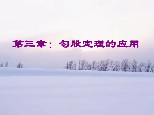 3.3勾股定理的应用++课件++2023—2024学年鲁教版(五四制)数学七年级上册