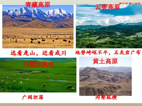 中图版七年级下册地理：第五节 黄土高原 (2)