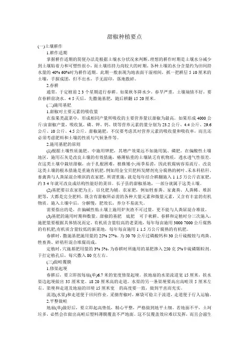 甜椒种植要点