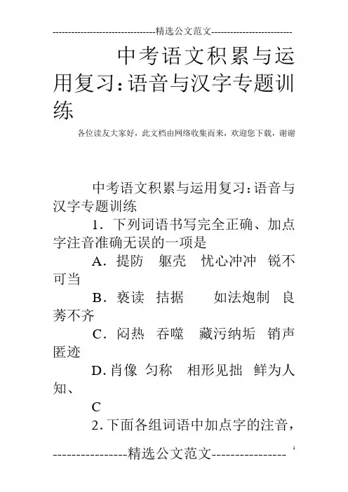 中考语文积累与运用复习：语音与汉字专题训练