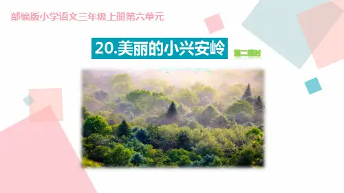 部编版三年级上册语文《美丽的小兴安岭》说课教学课件(第2课时)