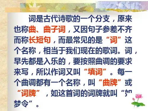 苏教版六年级语文下册课件词两首如梦令1