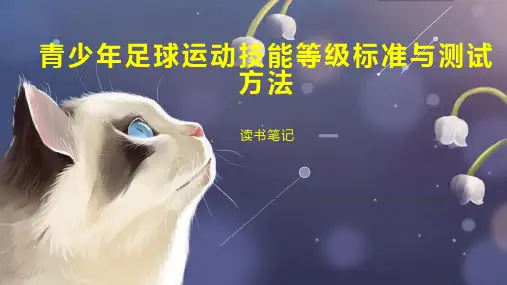 青少年足球运动技能等级标准与测试方法