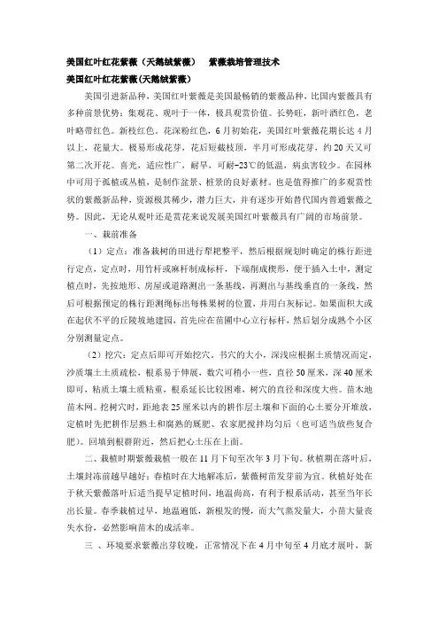 美国红叶红花紫薇(天鹅绒紫薇) 紫薇栽培管理技术