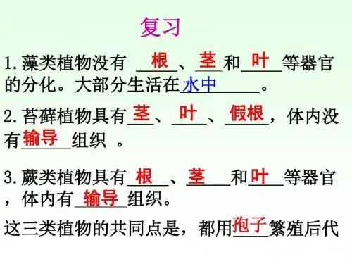 听课  裸子植物和被子植物