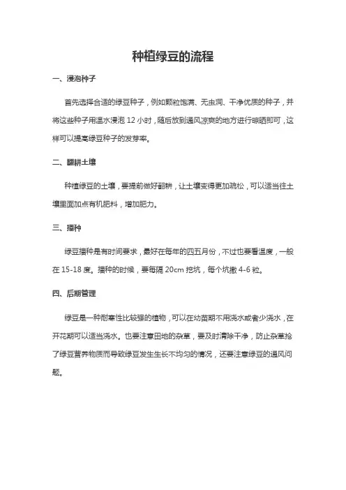 种植绿豆的流程
