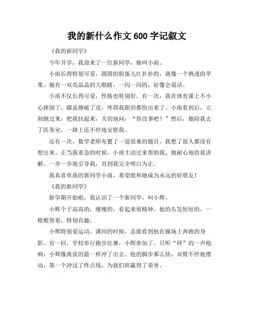 我的新什么作文600字记叙文