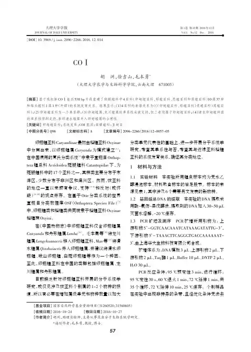 基于线粒体COⅠ基因序列探讨卵翅蝗亚科系统发育关系