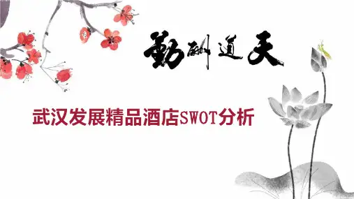 武汉发展酒店SWOT分析