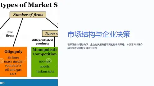 市场结构与企业决策