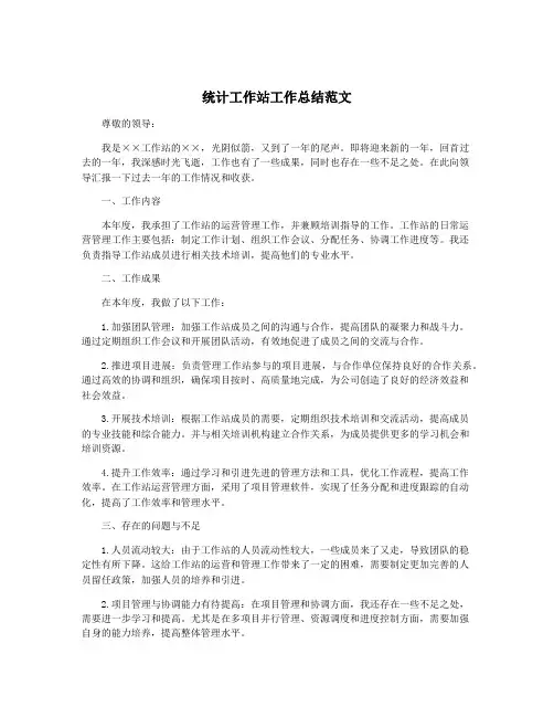 统计工作站工作总结范文