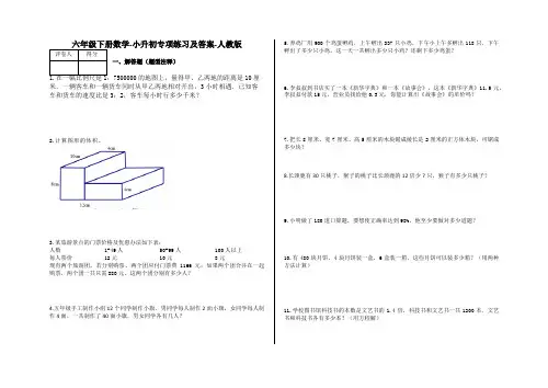六年级下册数学-小升初专项练习及答案-H-人教版