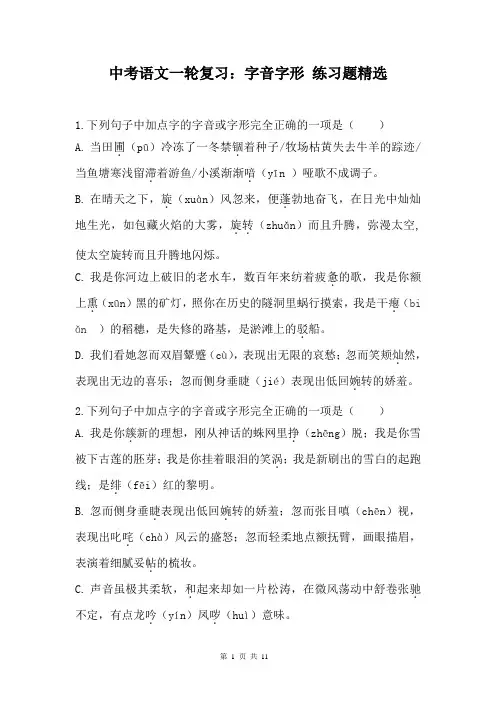 中考语文一轮复习：字音字形 练习题精选(含答案)