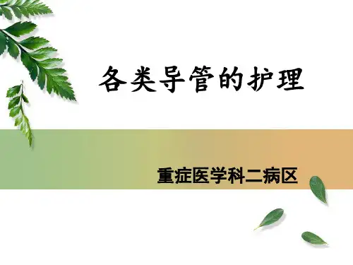 各类导管的护理