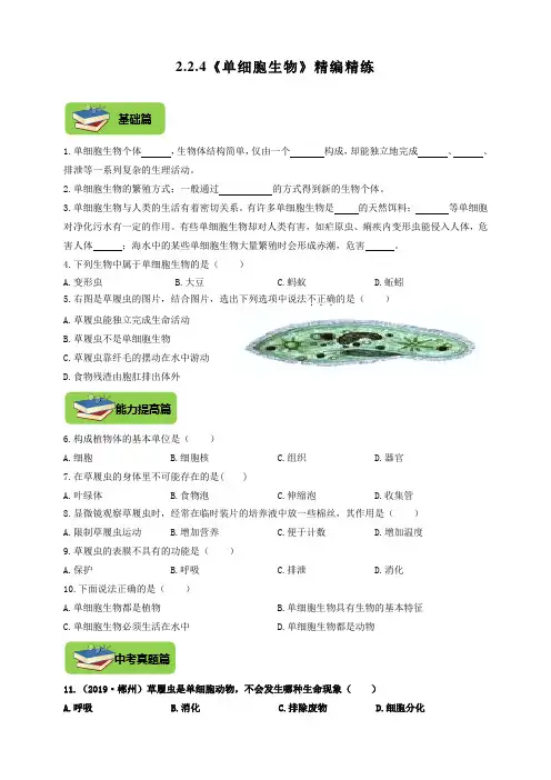 人教版生物七年级上册2.2.4《单细胞生物》同步练习(包含答案)