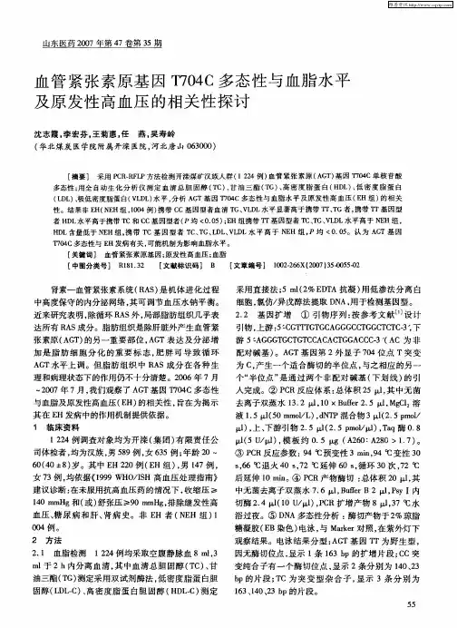 血管紧张素原基因T704C多态性与血脂水平及原发性高血压的相关性探讨