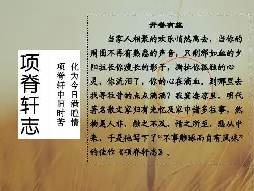 2018高中语文必修五浙江专用课件 专题二 项脊轩志