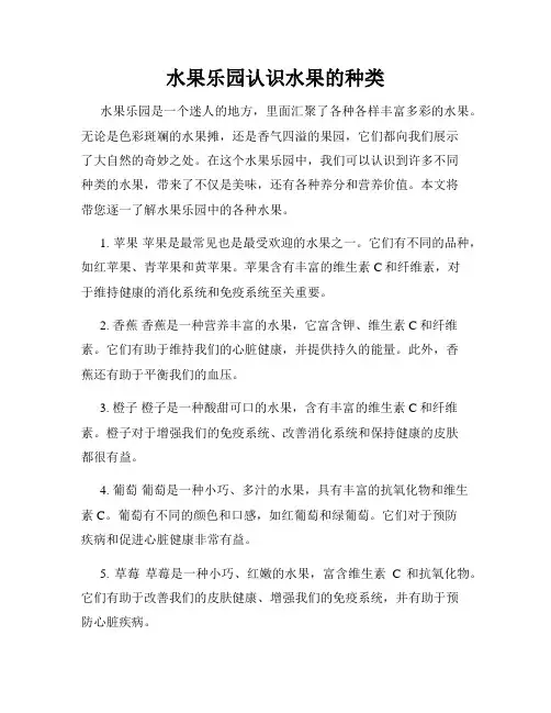 水果乐园认识水果的种类