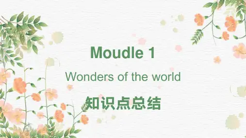 九年级Module 1知识点总结