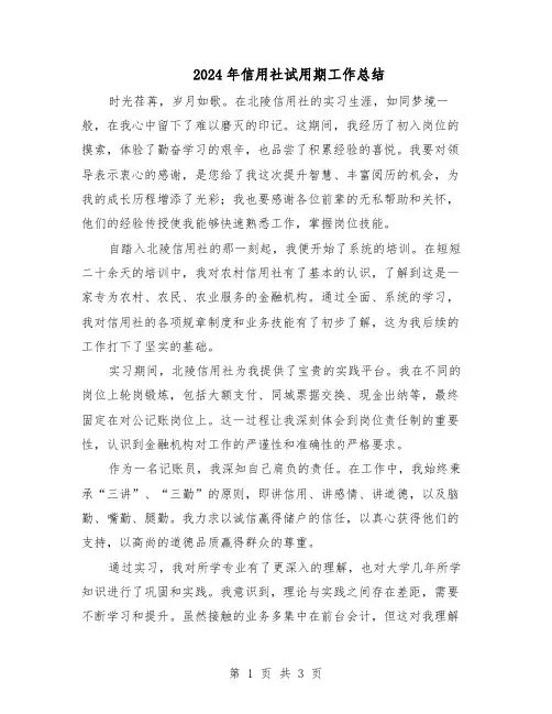2024年信用社试用期工作总结（二篇）