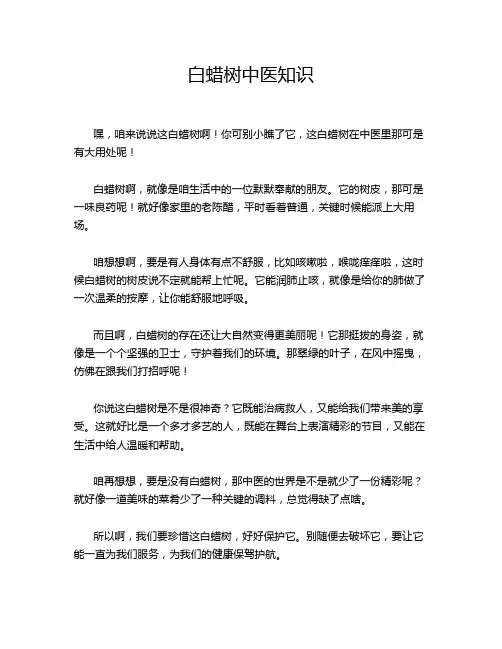 白蜡树中医知识