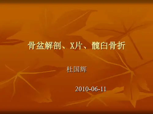 骨盆解剖及X片