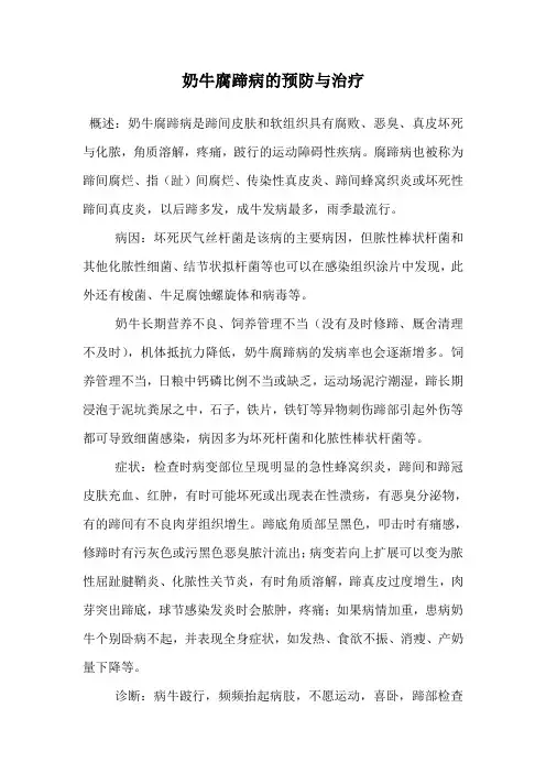 奶牛腐蹄病的预防与治疗.doc
