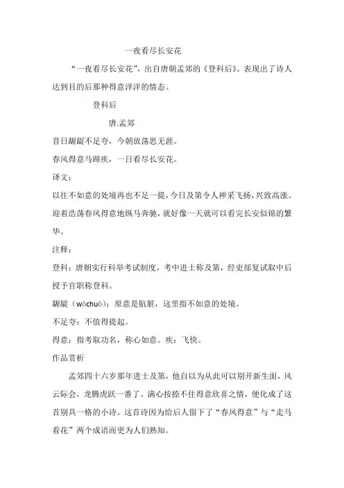 一夜看尽长安花