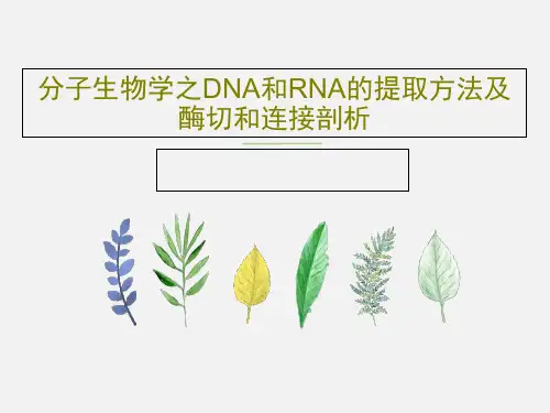 分子生物学之DNA和RNA的提取方法及酶切和连接剖析共43页