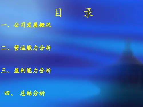 盈利能力和营运能力分析