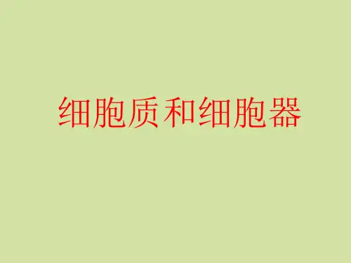 苏教版高中生物必修1：分子与细胞细胞质和细胞器