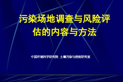 污染场地调查与风险评估的内容与方法讲义