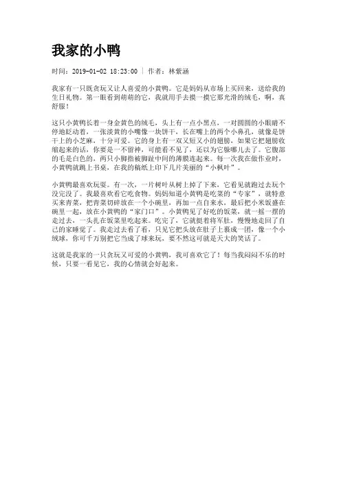 我家的小鸭
