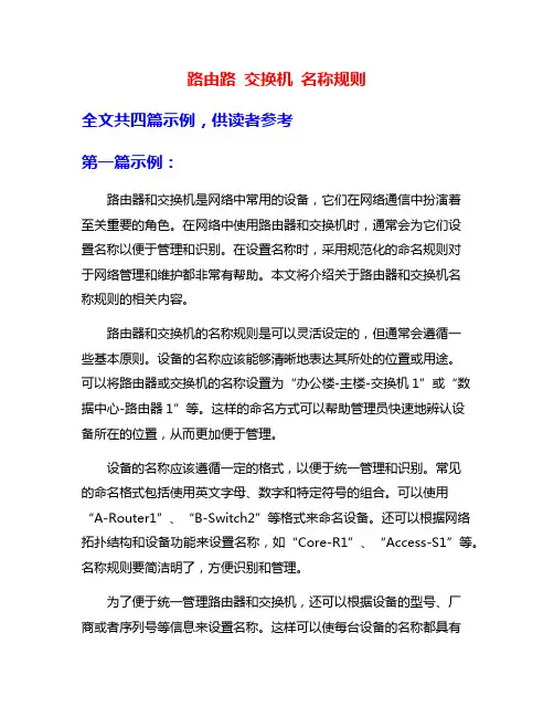 路由路 交换机 名称规则