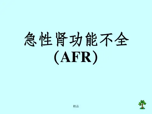 急性肾功能不全症PPT课件